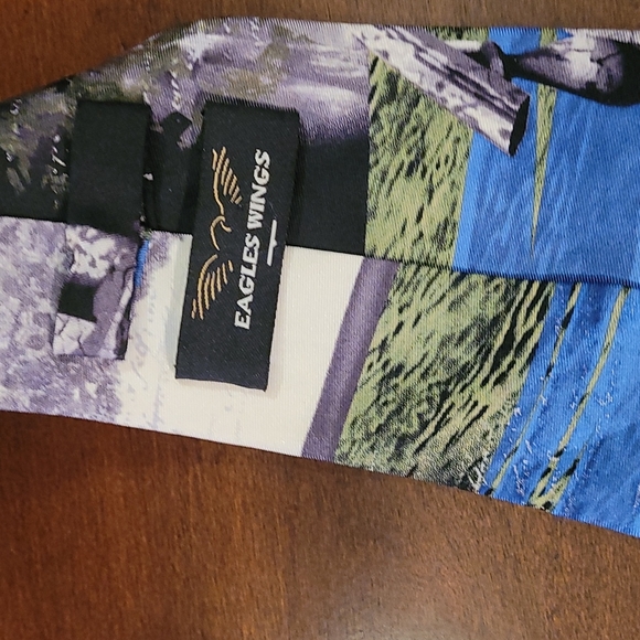 Eagle Wings Religious Tie - Picture 3 of 4